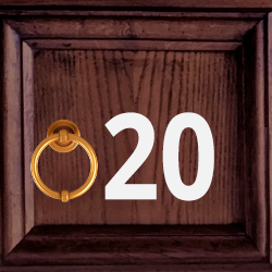 20