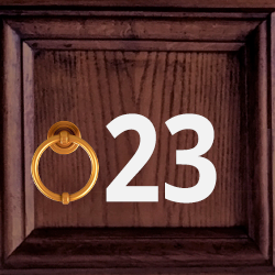 23